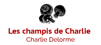 les champis de Charlie